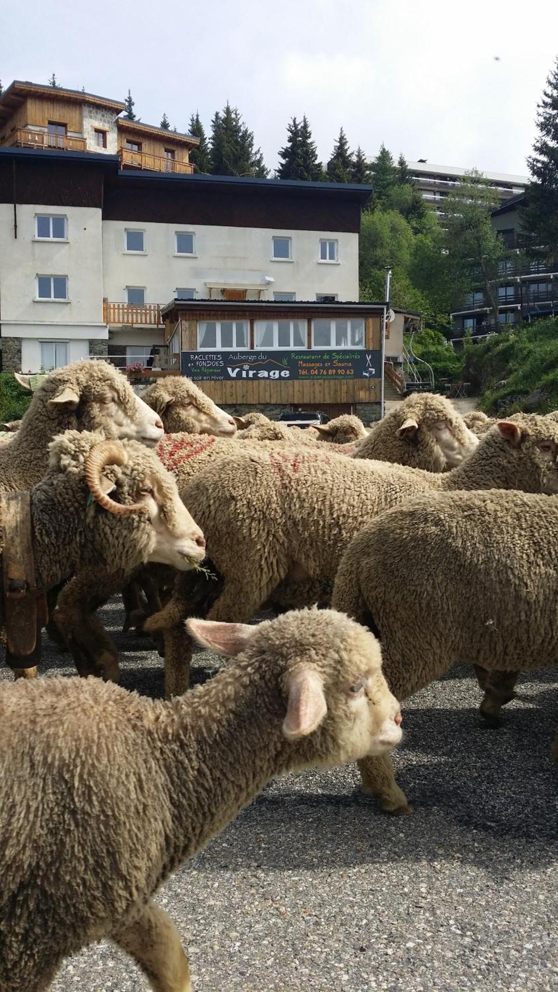 Auberge Restaurant Du Virage Chamrousse Ngoại thất bức ảnh